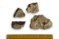 F 13002
<br/>
<br/>
<em></em>